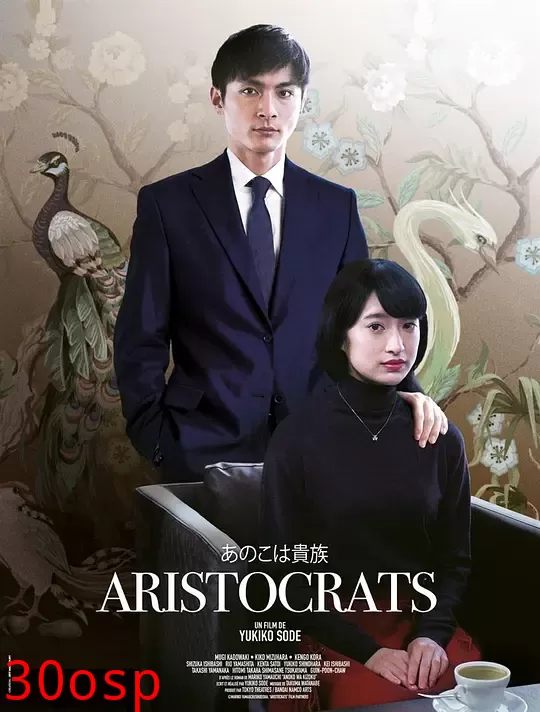 东京贵族女子【影视解说】