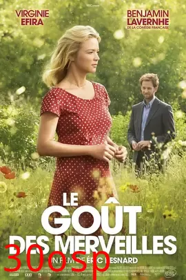 奇迹之味【影视解说】