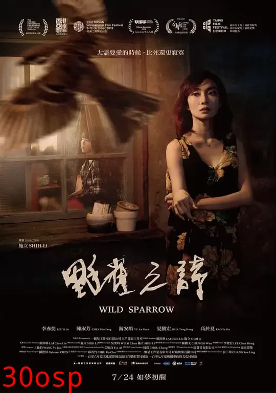 野雀之诗【影视解说】