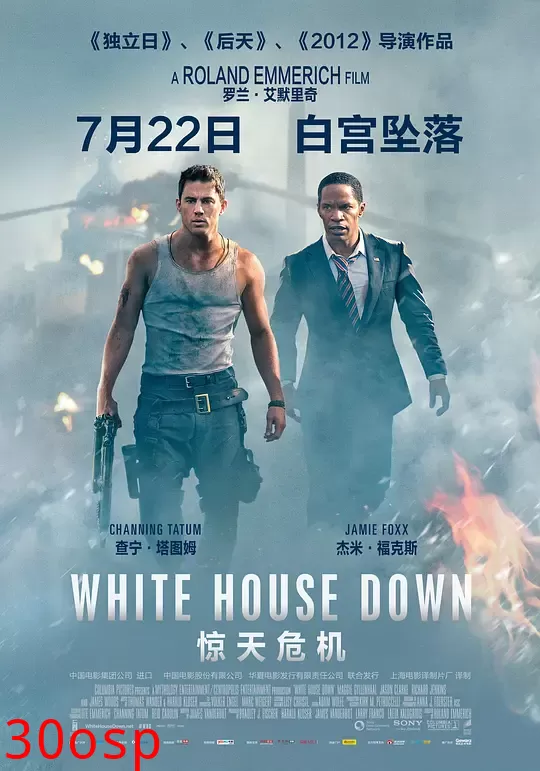 惊天危机【影视解说】