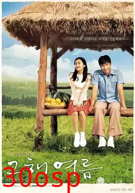 那年夏天【影视解说】