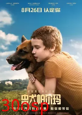 忠犬帕尔马【影视解说】