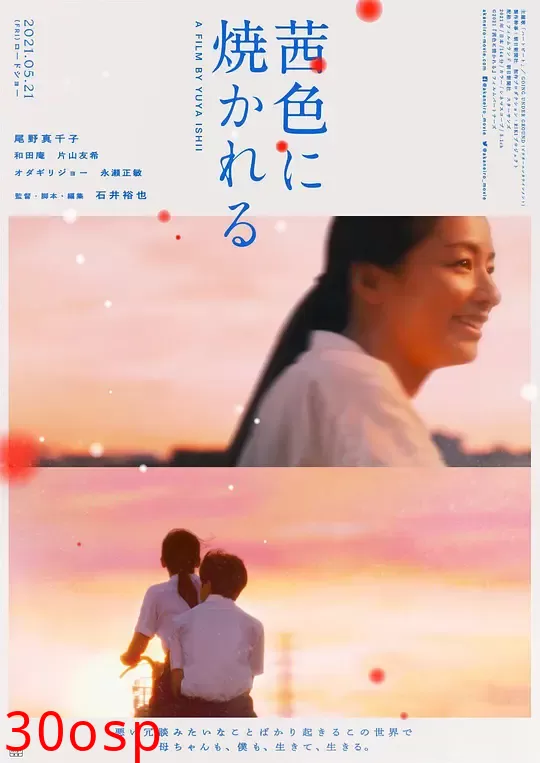 茜色如烧【影视解说】