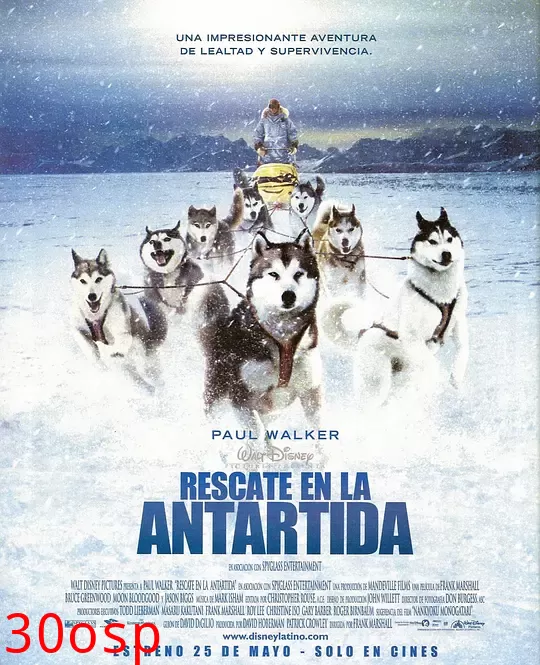 极地长征【影视解说】