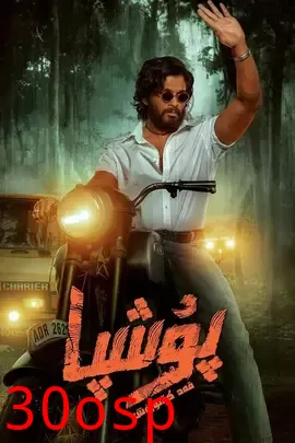 普什帕：崛起【影视解说】