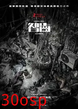 智齿【影视解说】