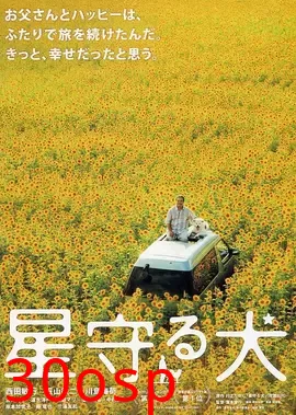 星守之犬【影视解说】