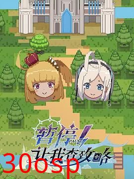 暂停！让我查攻略