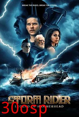 风暴骑士：锤头鲨的传说