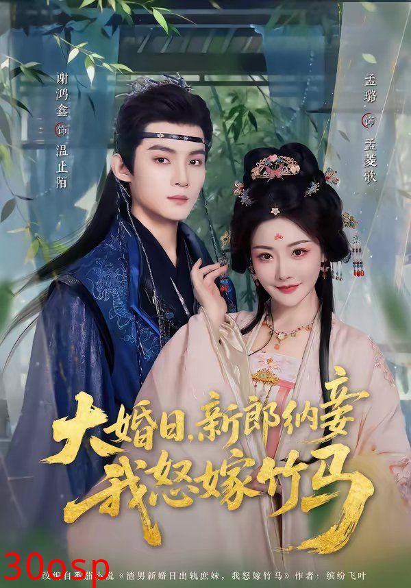 大婚日，新郎纳妾我怒嫁竹马