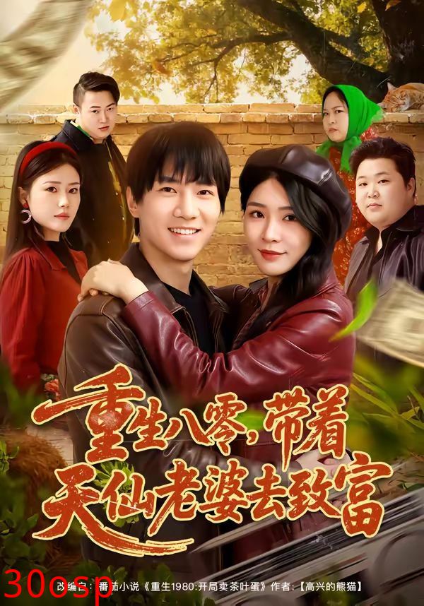 重生八零，带着天仙老婆去致富