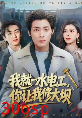 我就一水电工，你让我修大坝