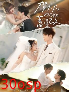 贺太太，你是我的蓄谋已久