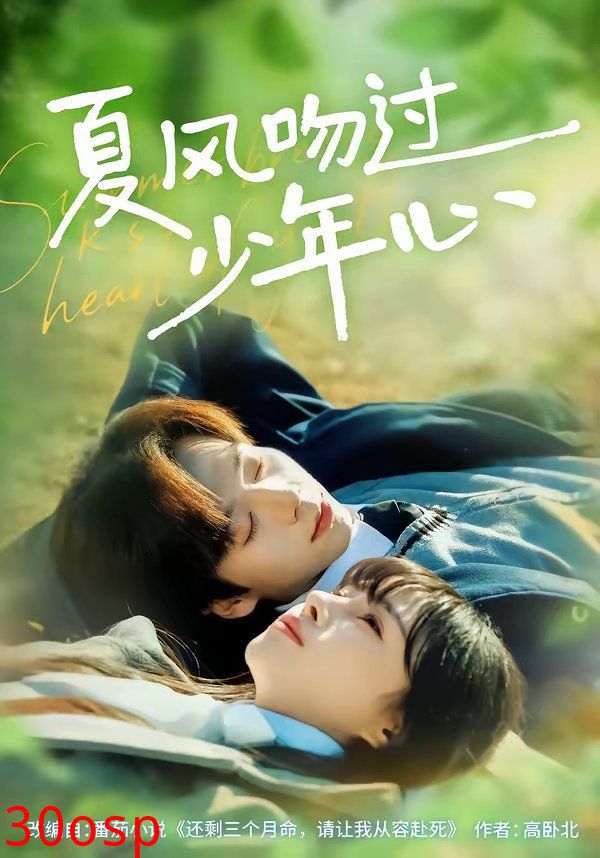 夏风吻过少年心