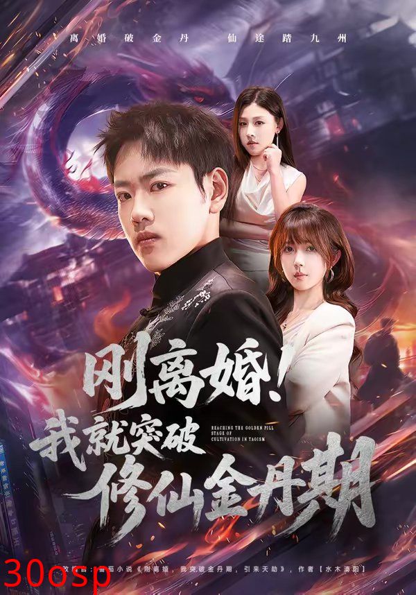 刚离婚！我就突破修仙金丹期