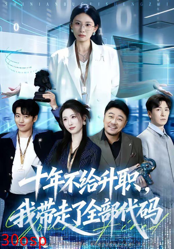 十年不给升职，我带走了全部代码