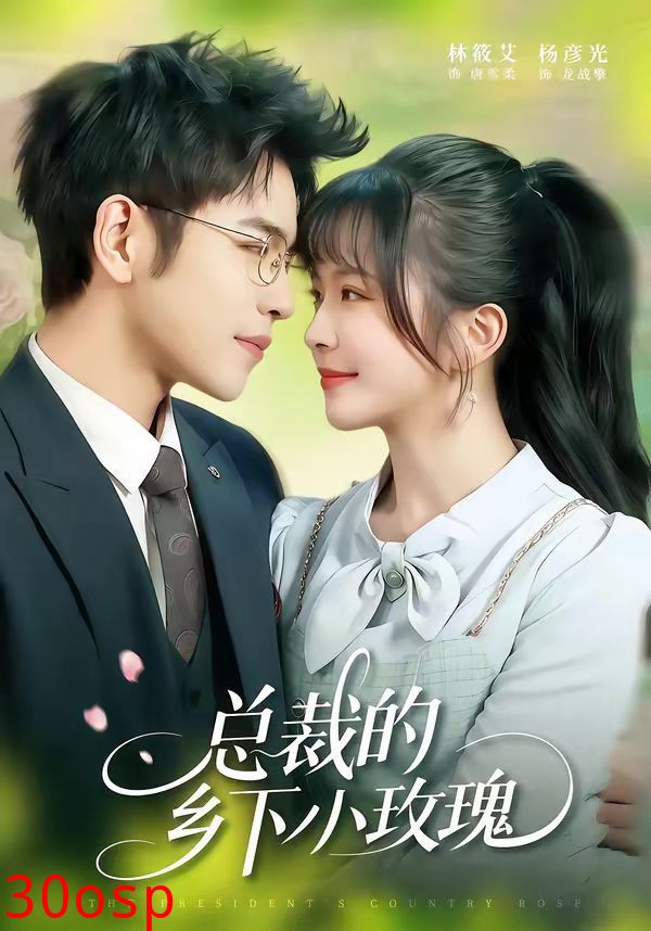 总裁的乡下小玫瑰