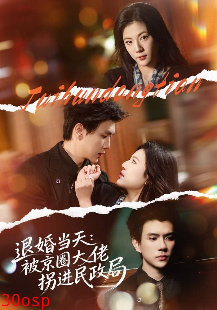 退婚当天：被京圈大佬拐进民政局