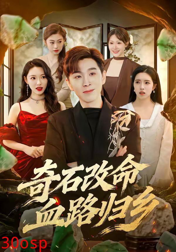 奇石改命血路归乡