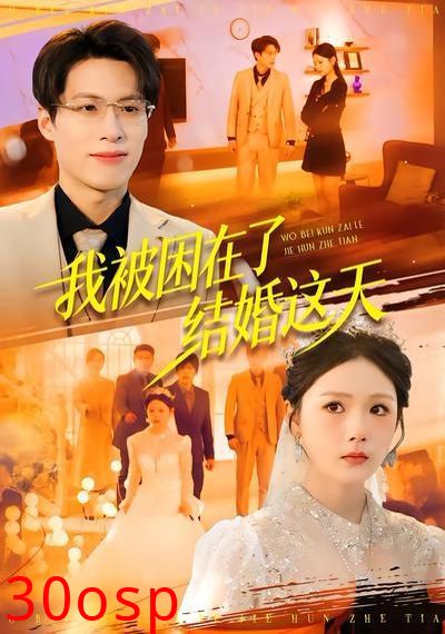 我被困在了结婚这天