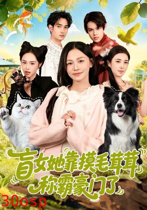 盲女她靠摸毛茸茸称霸豪门了