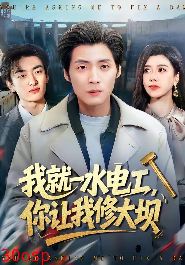我就一水电工，你让我修大坝
