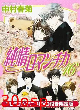 纯情罗曼史OAD