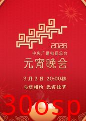 2026年中央广播电视总台元宵晚会