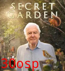 后院里的秘密生物