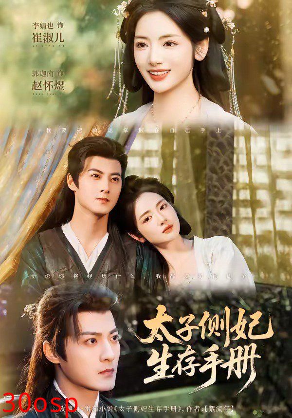 太子侧妃生存手册