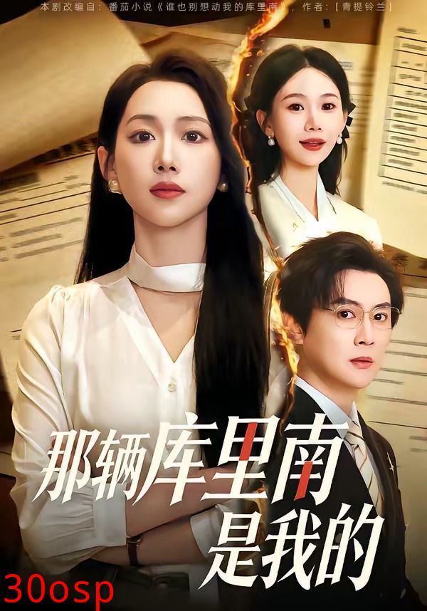 那辆库里南是我的