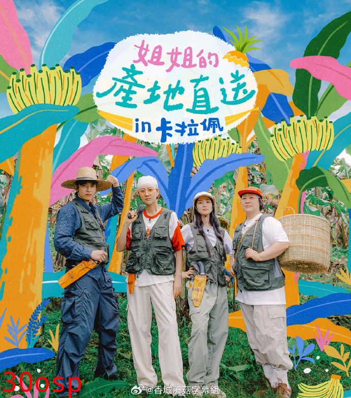 姐姐家的产地直送3