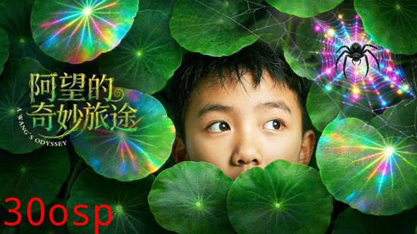 阿望的奇妙旅途