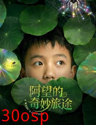 阿望的奇妙旅途