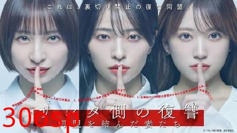 被出轨方的复仇～结成同盟的妻子们～