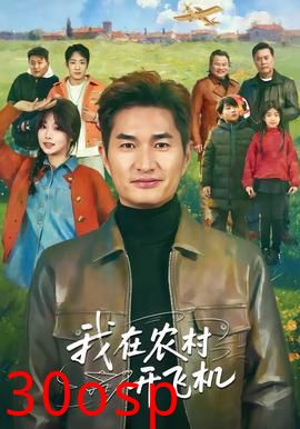 我在农村开飞机