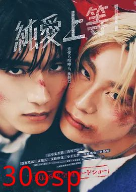 纯爱上等