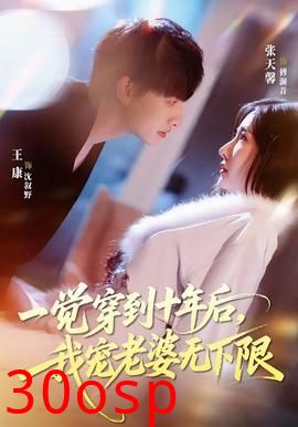 一觉穿到十年后，我宠老婆无下限