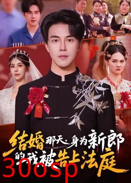 结婚那天，身为新郎的我被告上法庭
