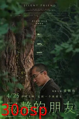 寂静的朋友