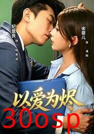 以爱为烬