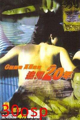 追凶20年【影视解说】