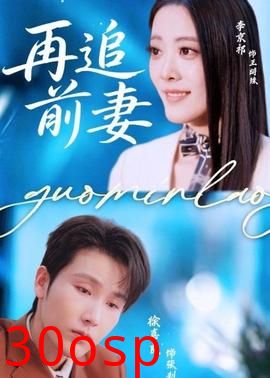 再追前妻