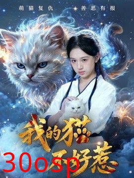 我的猫不好惹