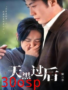 天黑过后第二季
