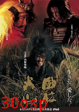 风林火山(2007)