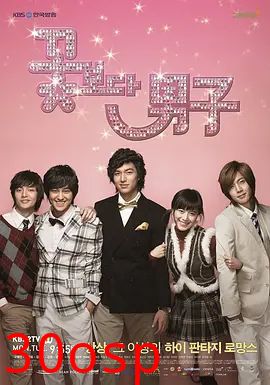 花样男子(2009)