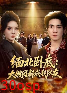 缅北卧底：大嫂团都成我队友