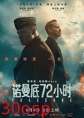 诺曼底72小时