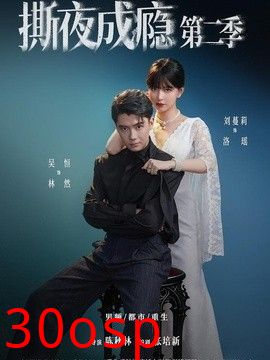 撕夜成瘾第二季